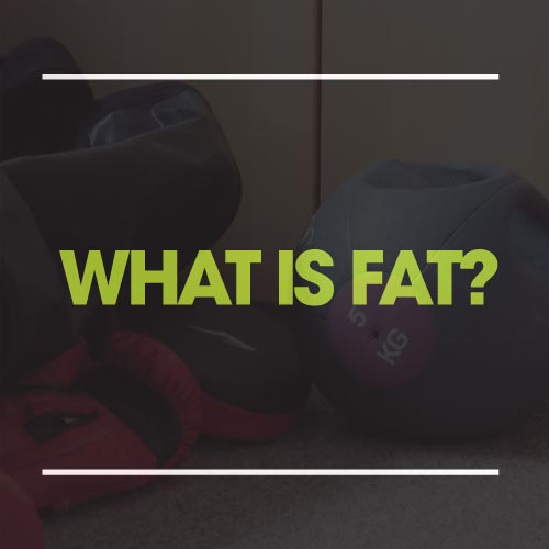 what is fat?